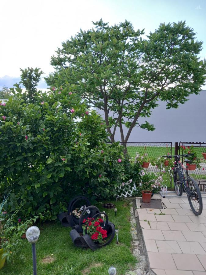Pokoje Goscinne U Grazynki Neu Sandez Exterior foto